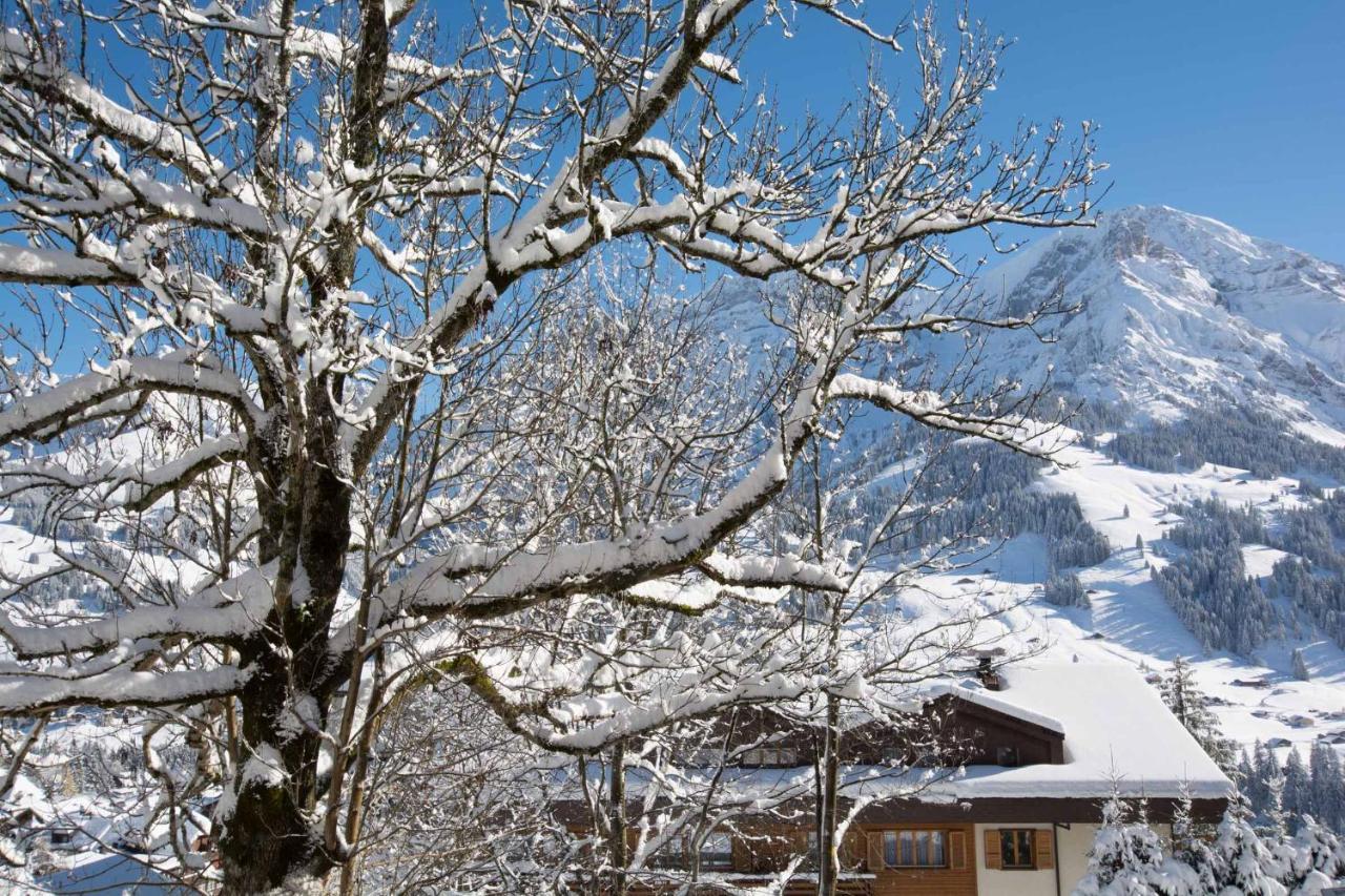 Ferienwohnung Senggi Adelboden Exteriér fotografie
